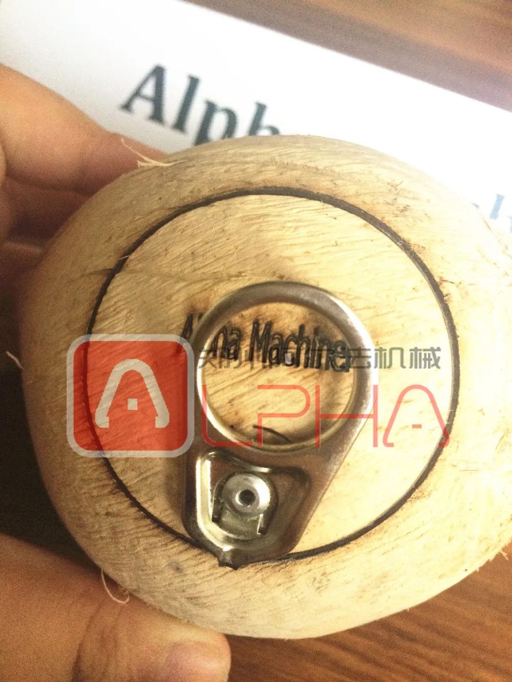 Coconut Shell Laser Cutting And Engraving Machine Make Coconut Like