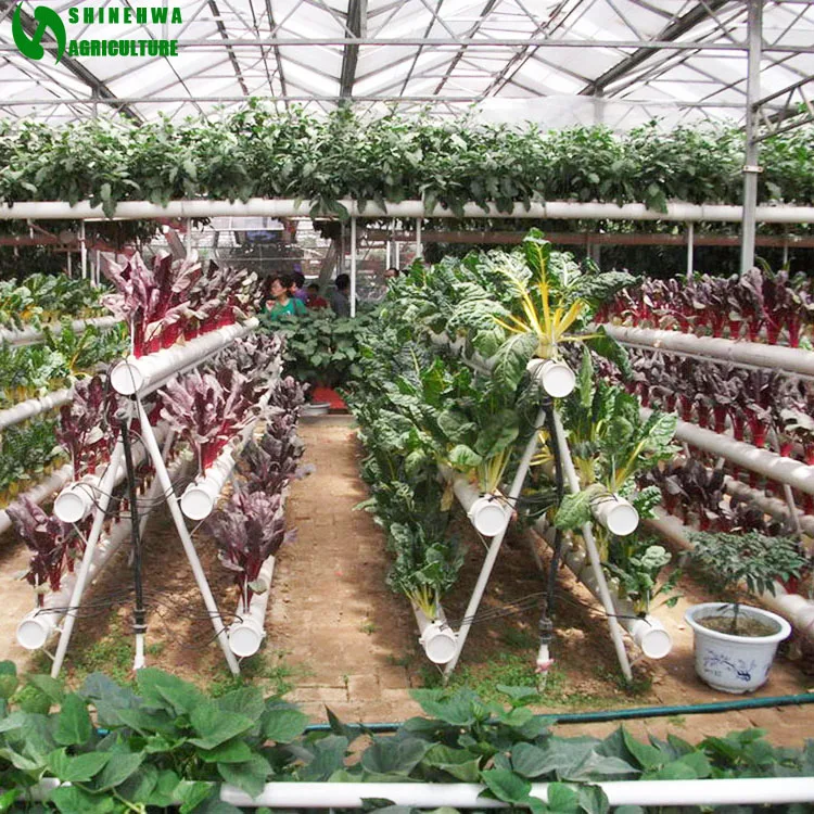 Commercial Vertical Nft Hydroponics System For Sale Buy Commercial
