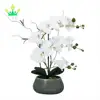 Silk Orchid with Decorative Ceramic Vase,Vivid Artificial Flower Arrangement,Potted Orchid Plant,White