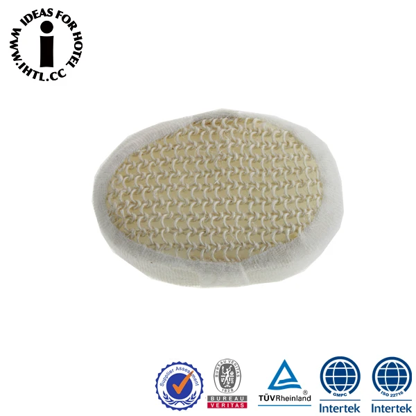 concept that adult sponges cannot move? concept that adult sponges cannot move?