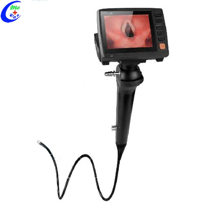 endoscope system