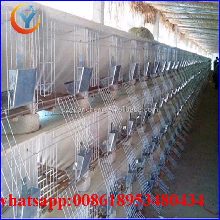 3 Story Rabbit Cage Farming Galvanized Farm Equipment Rabbit Cage For