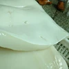 Peru Squid Fillets 2018 Promotion