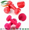 Fixed Colorful Rubber/PVC coated Hex Type Flashing/Frosted Cast Iron Dumbbel