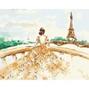 Diy Girl Oil Painting Beautiful Woman In Gown Looking At The Eiffel Tower Paint By Number Picture On Canvas Art Wall