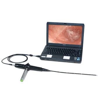 Small Animal Portable Veterinary Endoscope Usb - Buy Endoscope ...