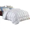 /product-detail/china-supplier-microfiber-quilt-fitted-quilt-four-season-quilt-60810712467.html