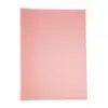 China high quality manufacturer office product A4 size plastic 2 pockets file folder