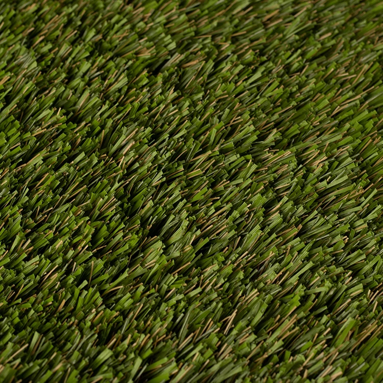 80+ Gambar Animasi Rumput Paling Bagus 80+ Gambar Animasi Rumput Paling Bagus