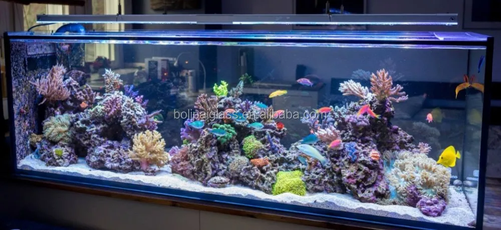 used saltwater aquarium for sale