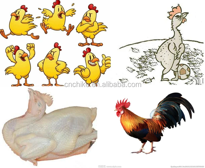 CHIKEN.jpg