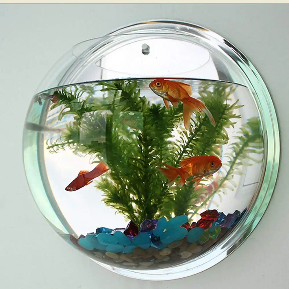 cheap fish tank acrylic