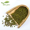 Natural Organic New Crop Green Mung Dal Bean From China
