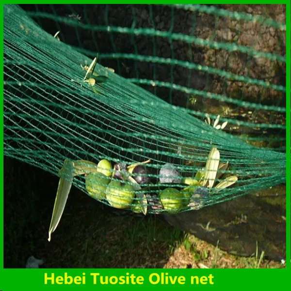 Filet De Récolte Pour Arbres Fruitiers 4x4 M - Protection Et Ramassage Fruits/Noix - Résistant UV - 4