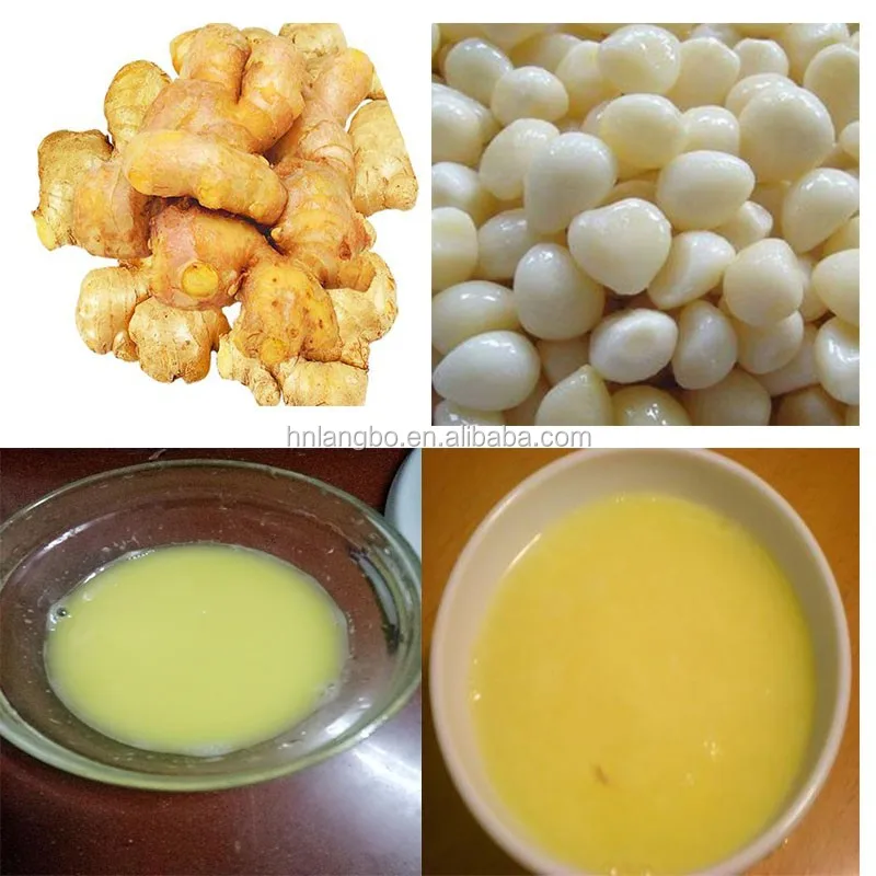 Commercial Garlic Ginger Juicer Juice Commercial Garlic Ginger Juicer Juice