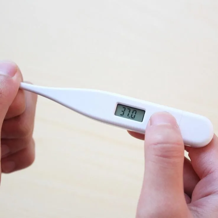 Digital Thermometer Beeper Oral Armpit Hard Probe Sh700064 Buy