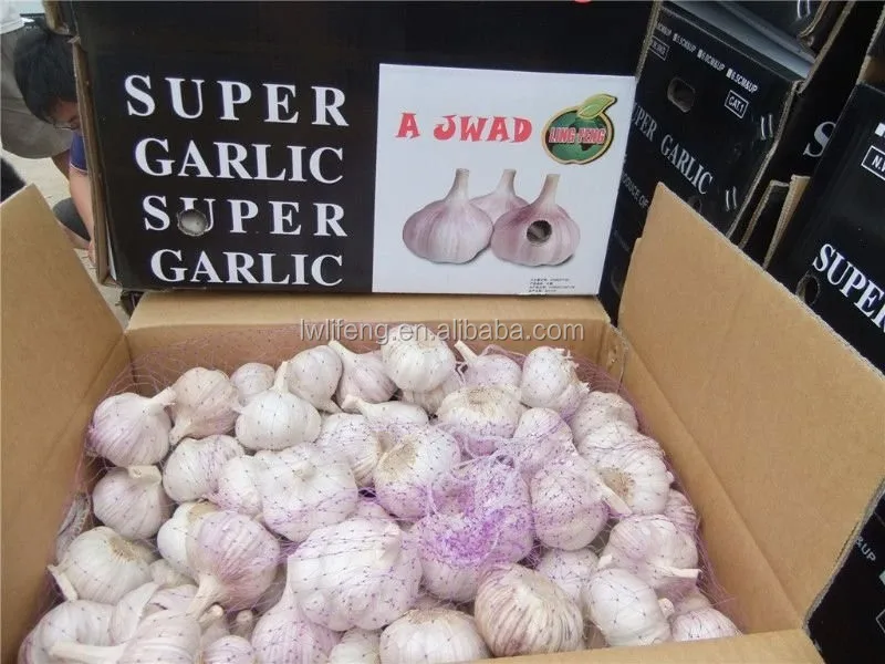 Manufacturer of 2017 New Crop of Chinese Normal White Garlic / Red Garlic / Purple Garlic