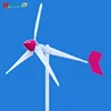 Chinese permanent magnet maglev wind turbine generator 3kw 220v