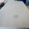 Oak/Ash/Sapeli/Teak/Walnut/Beech/Cherry/Maple Natural Veneer Laminate Fancy Plywood
