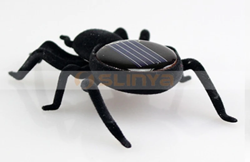 Solar spiders 8032 150108 (7).jpg
