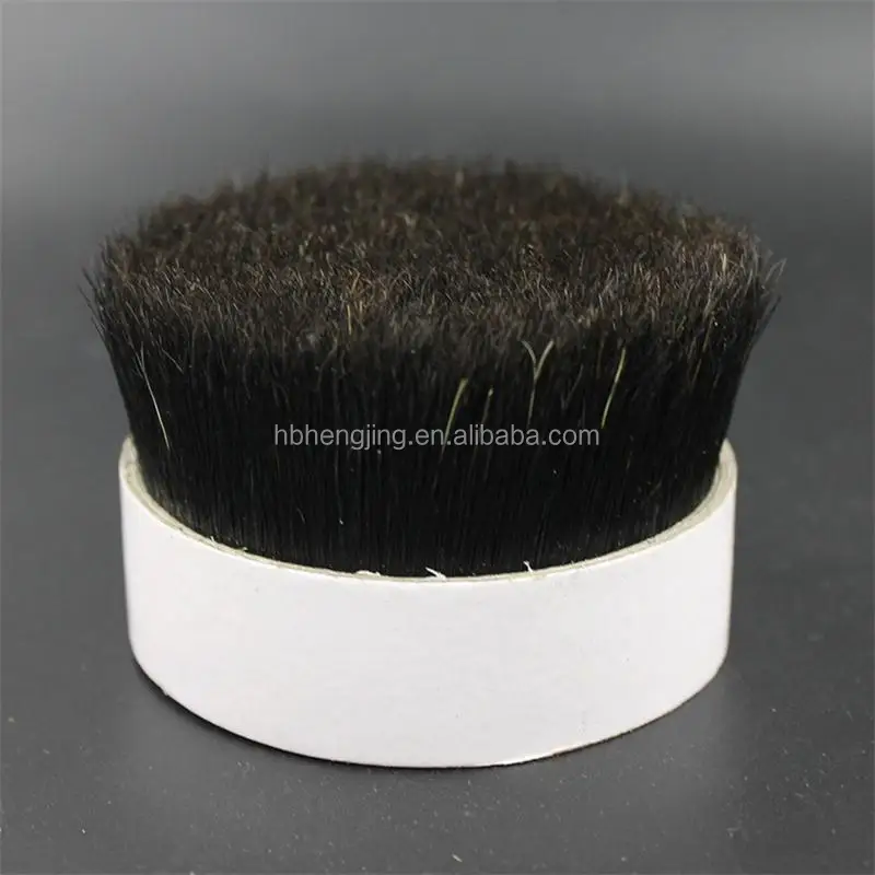 black bristle 2.jpg