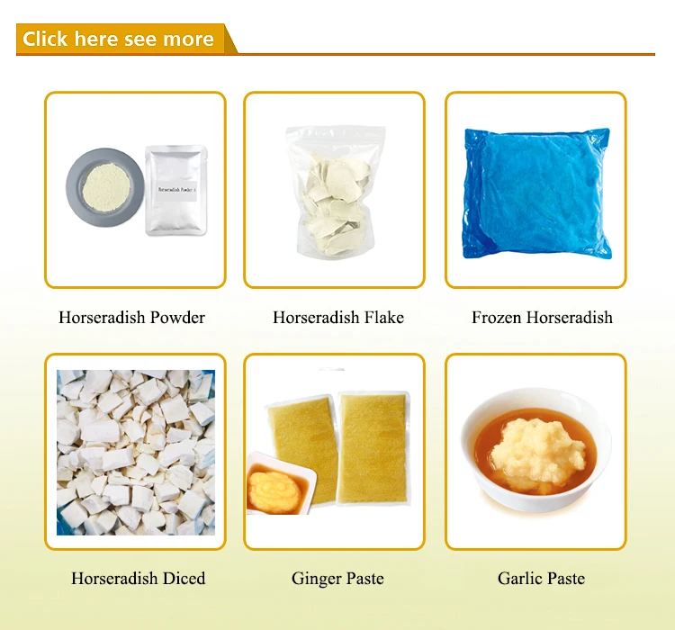 Fresh Organic Horseradish Root Buy Fresh Horseradish Root,Horseradish