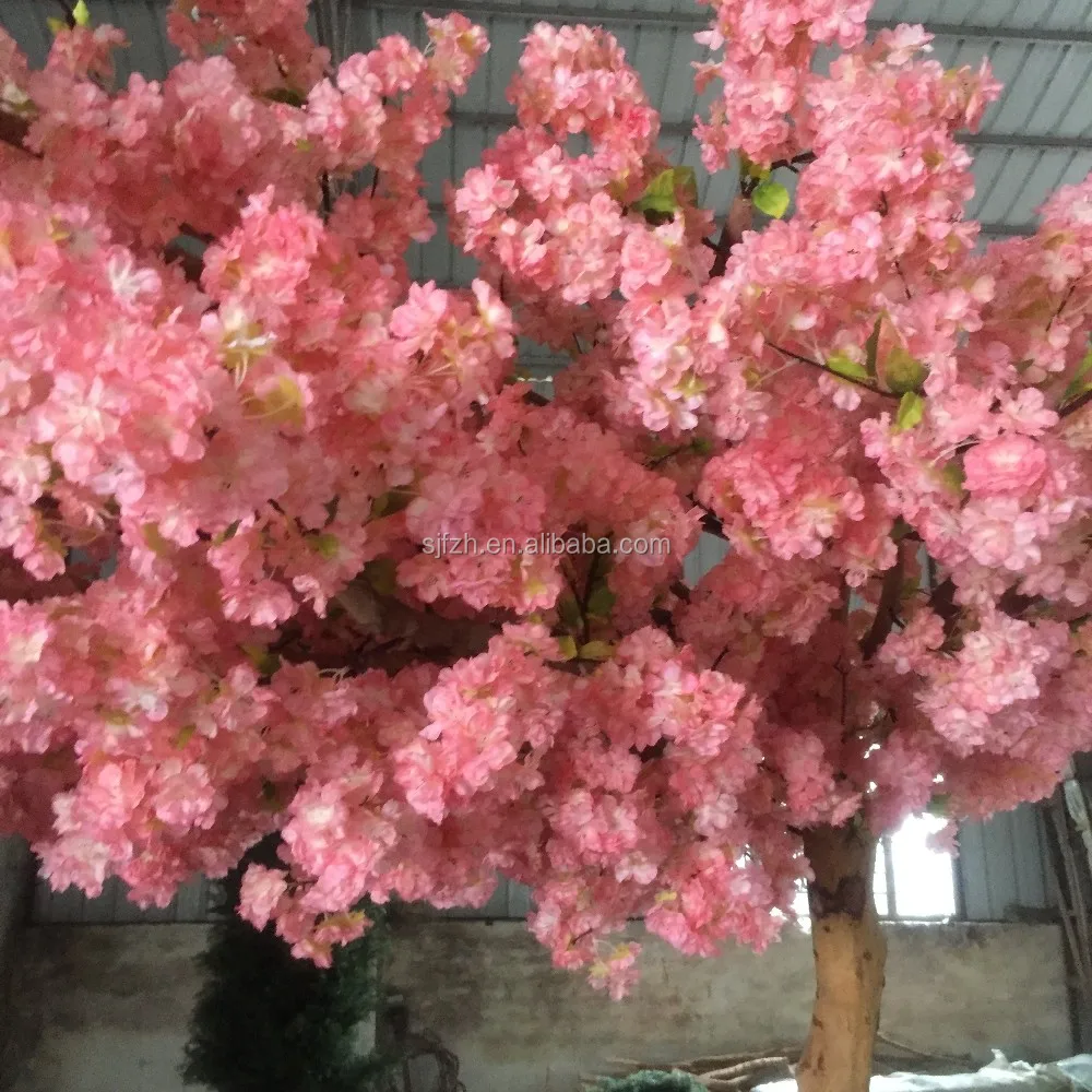 cherry flower tree (3).JPG