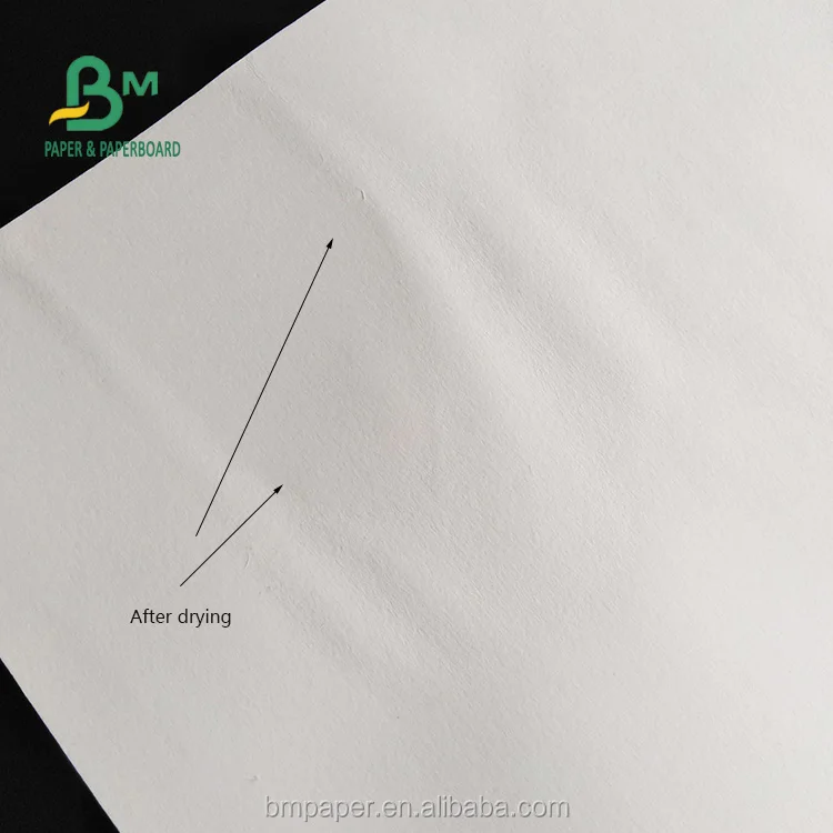 Absorbent Paper (15).jpg