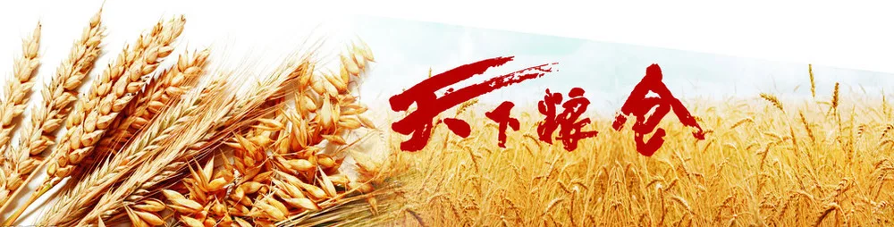 20 ton per day automatic low price wheat flour mill plant