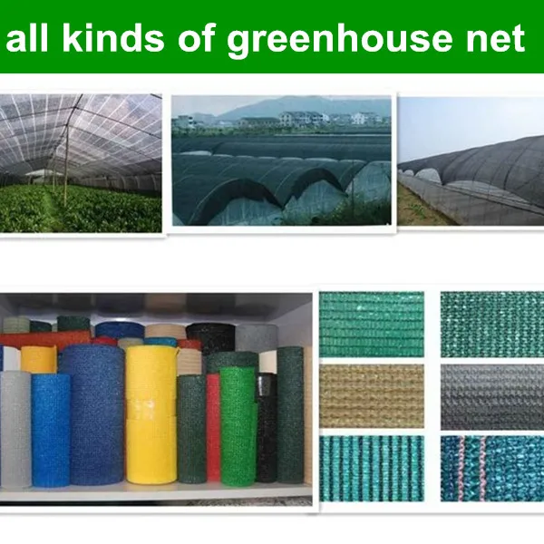 High Quality Nylon Greenhouse Net Grape Nursery Netting With High Quality Nylon Greenhouse Net Grape Nursery Netting With Price Landing Plastic For Flowers Product On