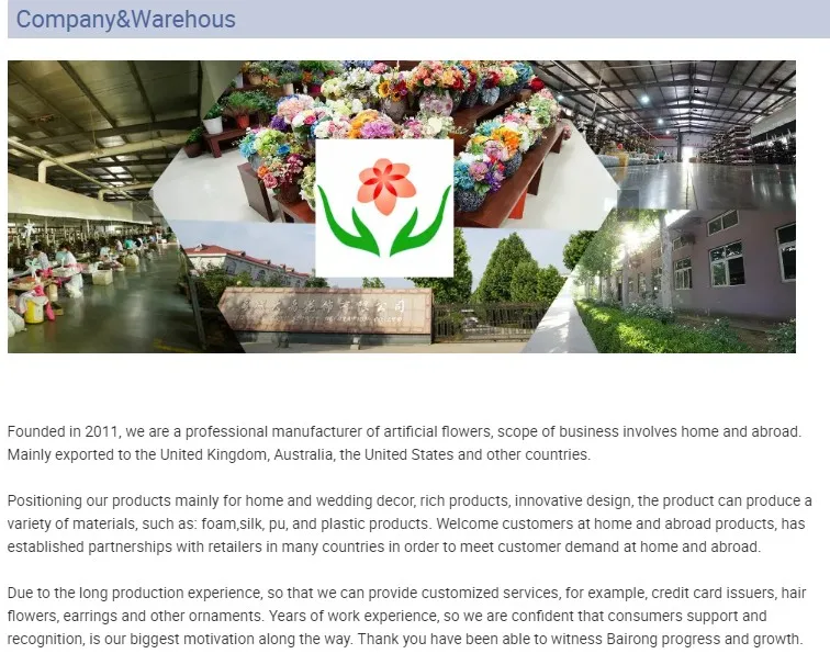 Company & Warehouse.JPG