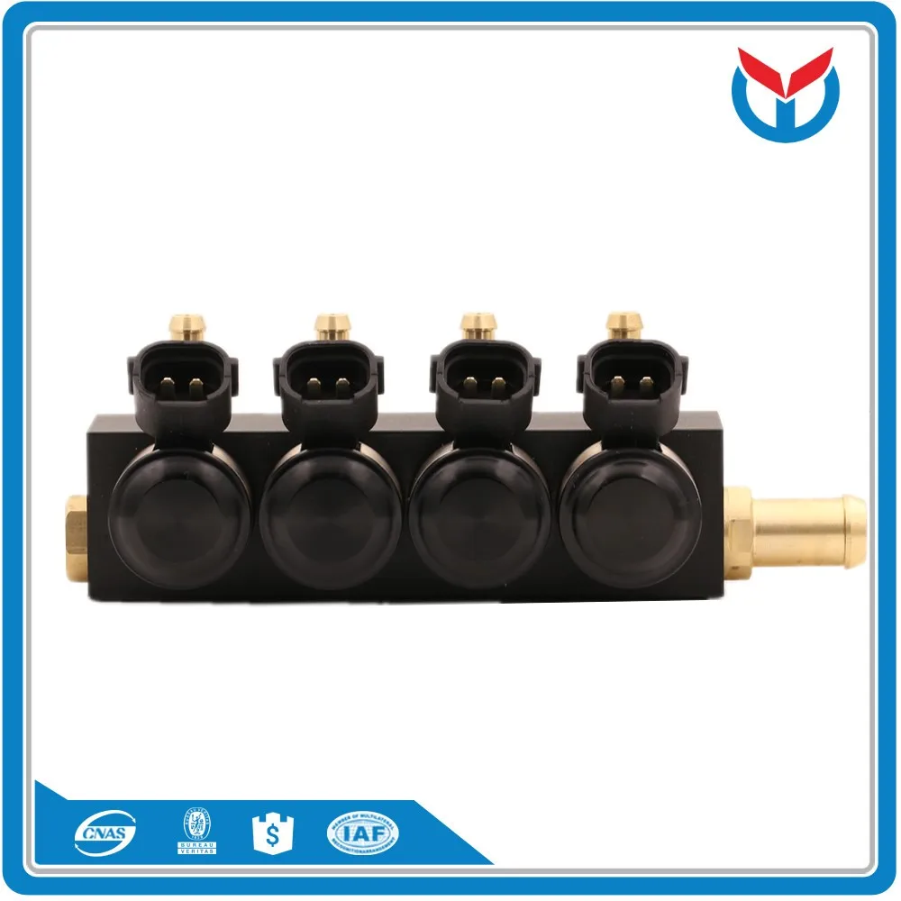 lpg cng injector rails (71)