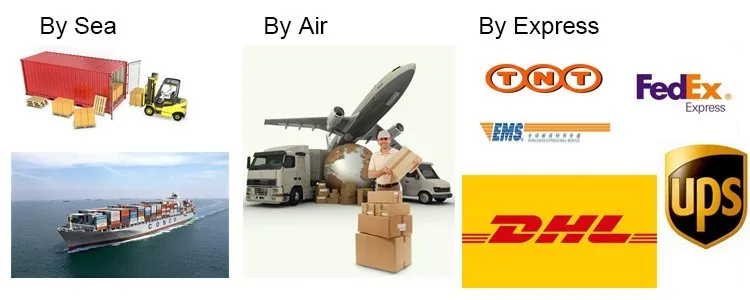 .jpg