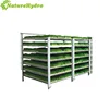 Customized hydroponic PVC plastic fodder system wholesale