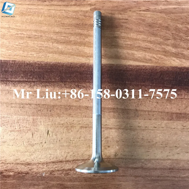 Stock Engine Valve Man Tga Eng D2066 D2676 Intake Valve And Exhaust