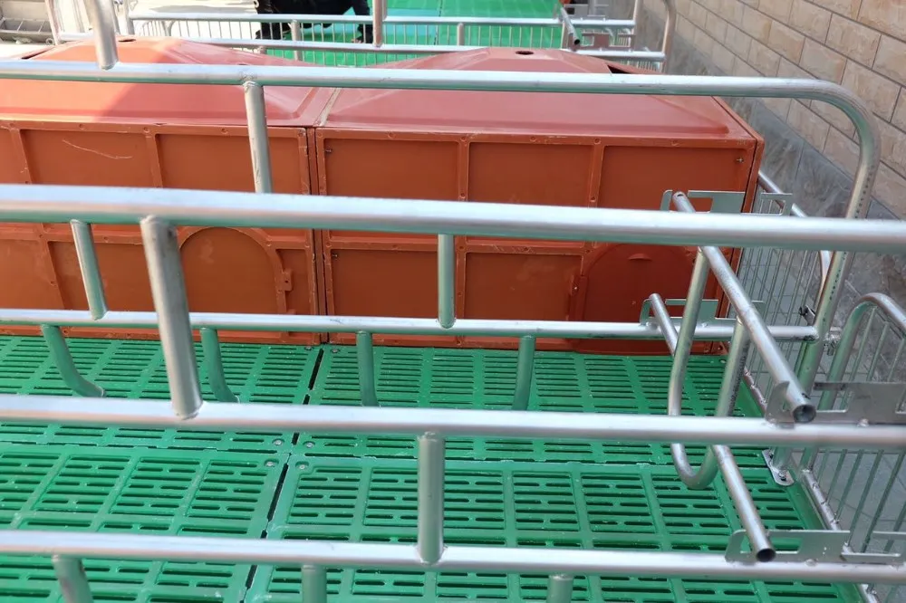 Pig Farming Equipment Hog Farrowing Crates Cage for Pigs.