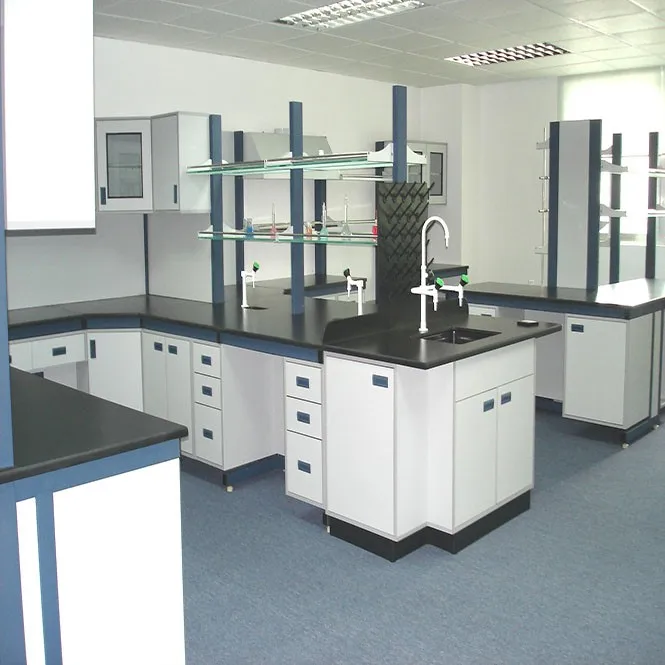 Chemical Resistant Science School Polypropylene Lab Sink For Laboratory 