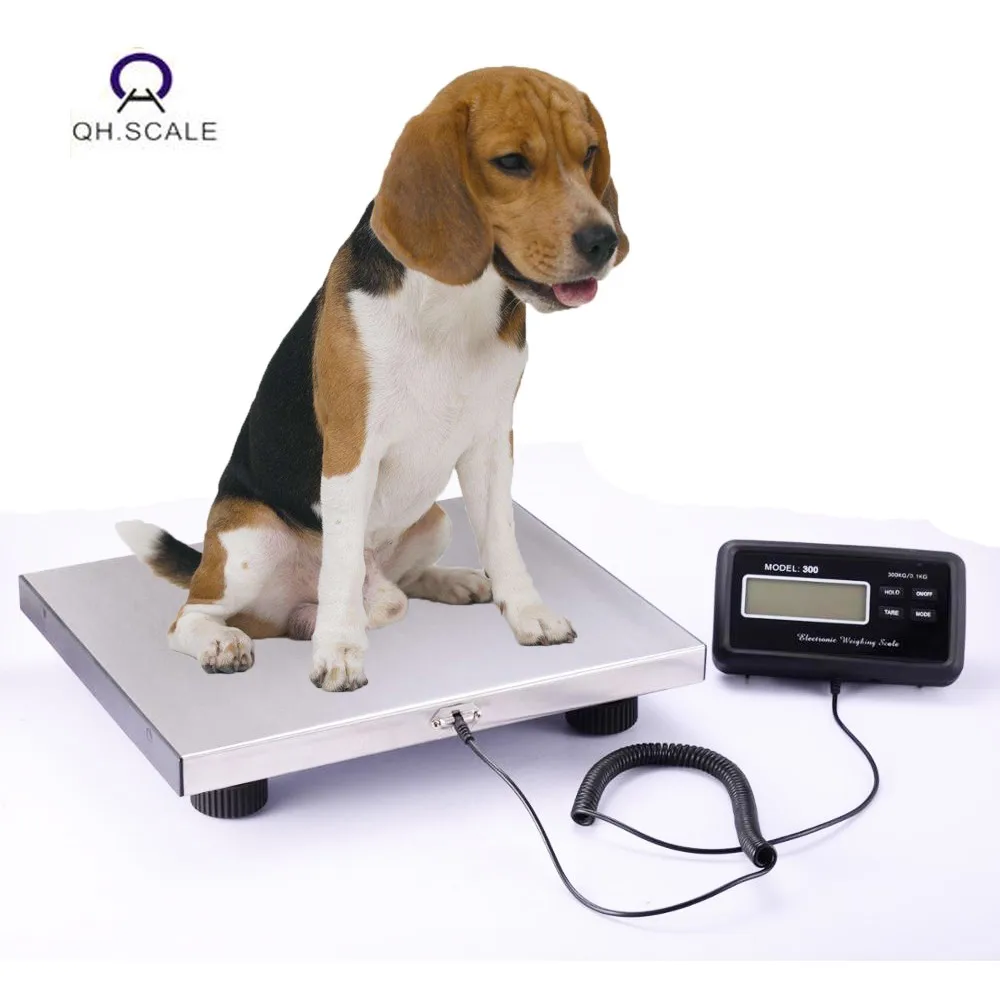 200kg Electronic Digital Floor Veterinary Scales For Pet Animal Vetting