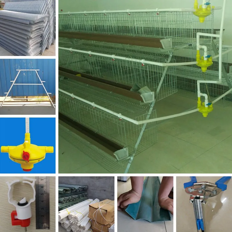Poultry layer battery chicken cage for Nigeria Kenya South Africa Tanzania Uganda farm
