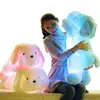 /product-detail/50cm-colorful-led-glowing-dogs-luminous-plush-children-toys-for-girl-night-dog-stuffed-plush-toys-for-kids-toys-60607349375.html