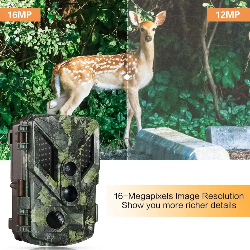Trail Camera (2).jpg