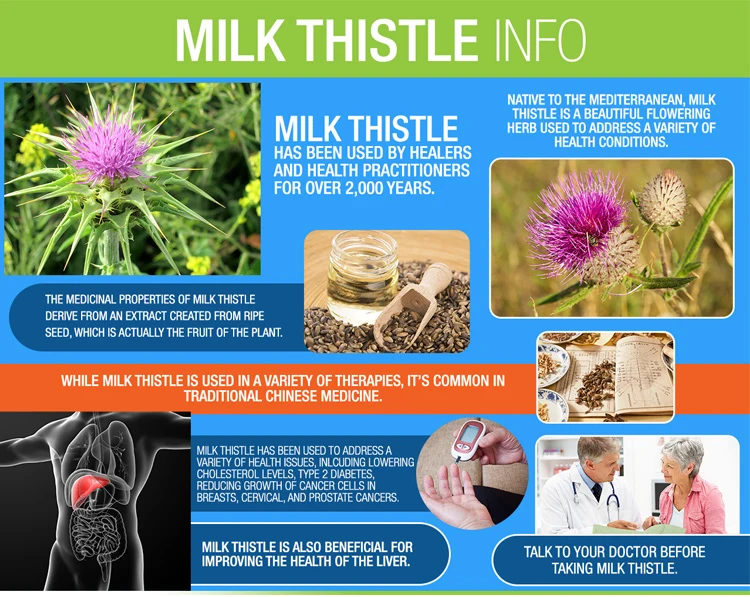 Hongda Supply Silybin Milk Thistle Extract Powder Silymarin Milk Thistle Extract Silymarin Buy Milk Thistle Extract Silymarin Milk Thistle Extract Powder Silymarin Silybin Product On Alibaba Com