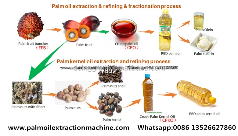 palm oil processing machine 