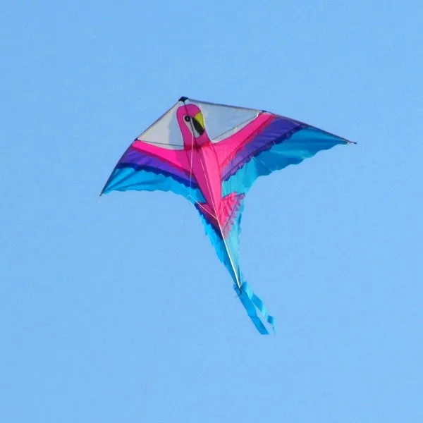 parrot kite 1.jpg