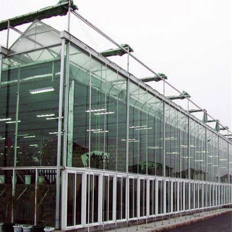 Multi Span Commercial Venlo Type Glass Greenhouses - Buy Venlo Tempered ...