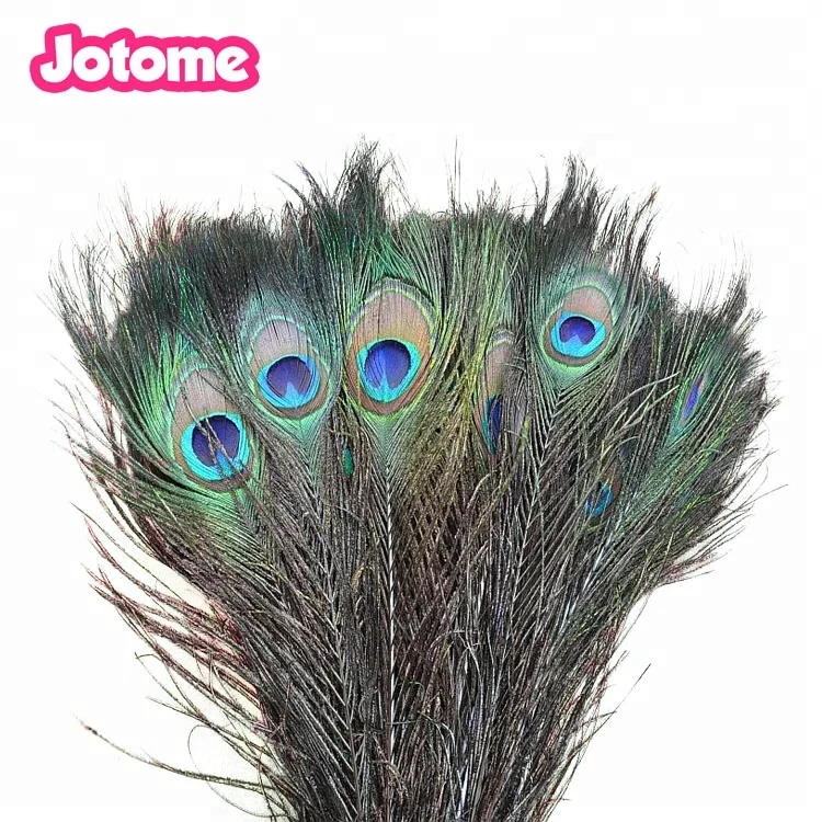 Wholesale Cheap Natural Peacock Feather For Decoration Buy Peacock