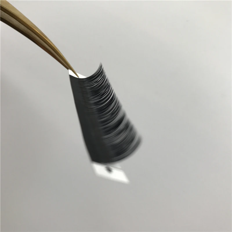 Ellipse Flat Lashes27 (1).jpg