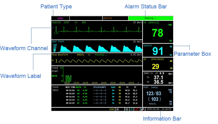 PM6000 Veterinary Patient Monitor for Animal Hospital