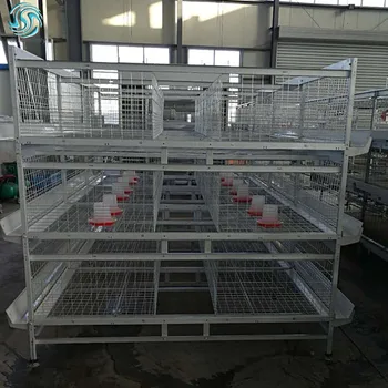 Download Hot Sale Poultry Farming Equipment For Layer Chickens ...