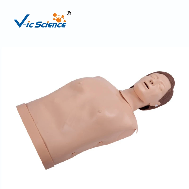 Kualitas Tinggi Operasi Sederhana Resusitasi Cardiopulmonary Latihan Setengah Tubuh CPR Keperawatan Model